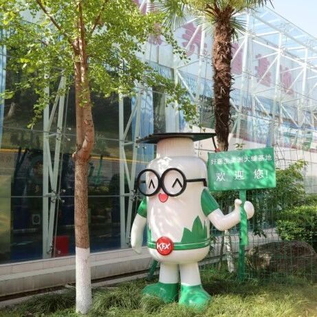 知名中药品牌推荐哪家？健康用药实用指南与家庭常备药清单