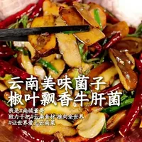 红葱牛肝菌安全烹饪指南：从清洗到厚切炒制的全流程解析