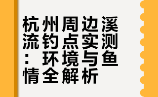 杭州1h秘境‼溪石斑爆护的露营溯溪宝地✨