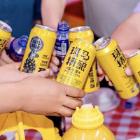 2026精酿啤酒好喝入门推荐：日常小酌佳选合集