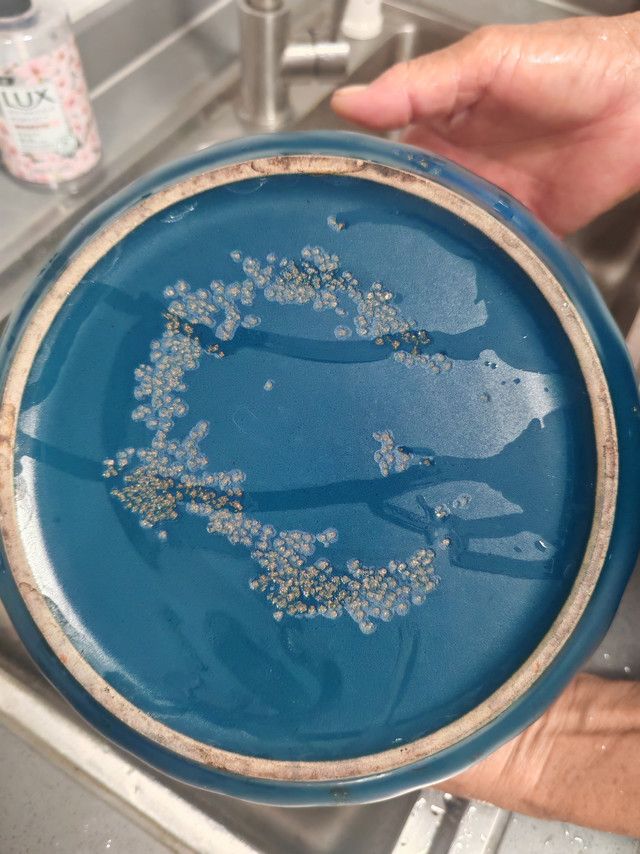 跟风买网红烂锅