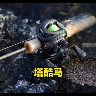 百元微物竿怎么选?实测哈斯达蝴蝶和盛河小驹,新手别再被参数忽悠