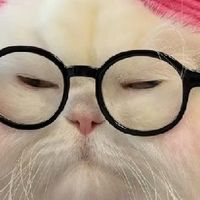 沟通的艺术：倾听与尊重