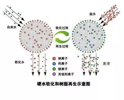加盐还是无盐？2026年软水机避坑指南：别被“免维护”忽悠了