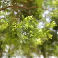 松下s52一镜走天下！