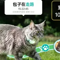 养猫人的“定心丸”，防丢还能懂情绪！