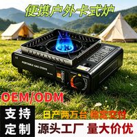 柴火炉真能省燃料钱？算完这笔账我默默掏出了气罐炉