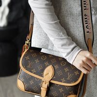 法棍包怎么选？LV Diane和Goyard Bonbonnière深度对比，看完再买不后悔