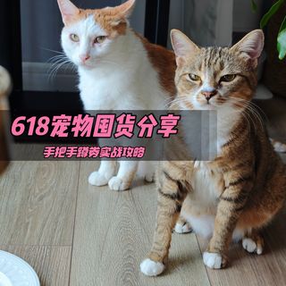 蹲券干货 + 实测囤货｜我的 618 养猫省钱心得