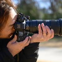 尼康Z 24-70mm f/2.8和24-120mm f/4怎么选？一文说清谁更适合你