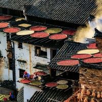 篁岭海内外达人节：乡村真人秀的模式与争议