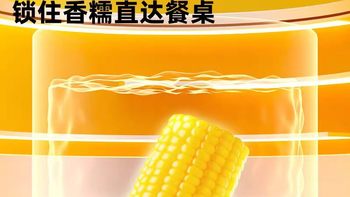 25年新玉米✨东北糯玉米段真的糯到会拉丝！