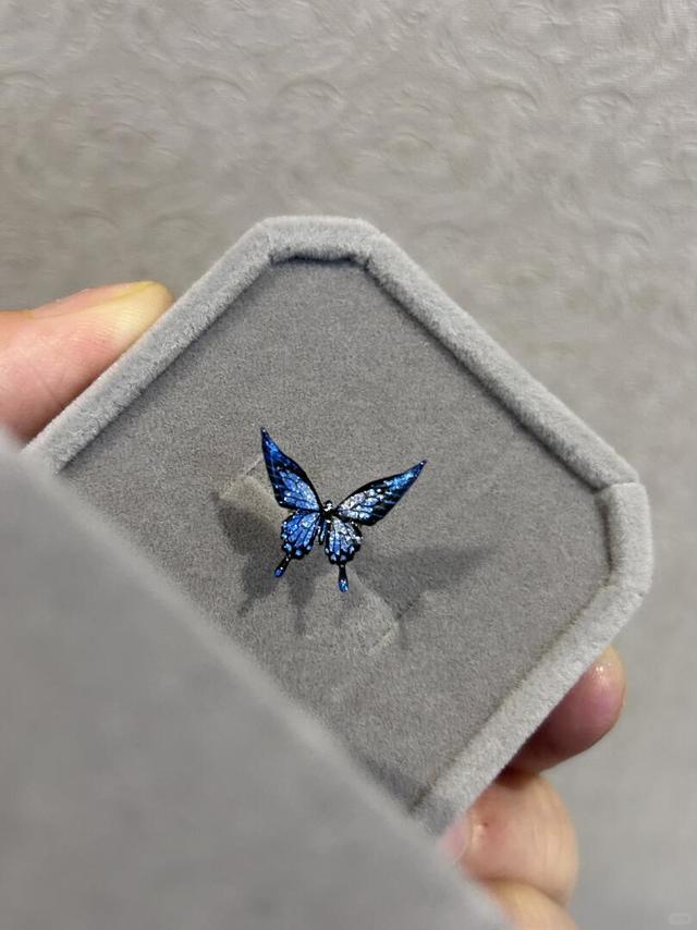 是谁的蓝色蝴蝶啊～🦋
