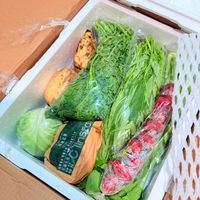 “新奇特”生鲜走红：是消费新刚需，还是资本短期炒作？