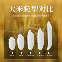 4块钱的大米真能比10块的好吃？实测揭秘超市米价背后的真相