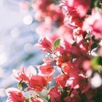 1英寸影像对决：手机vs卡片机，谁才是你的随身相机？