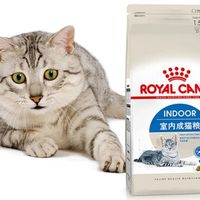 新手养猫别纠结“完美粮”，皇家靠稳定消化率成兽医安心之选