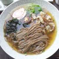 别被“荞麦面”骗了！速食款钠超标，挂面才真低GI