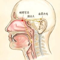 面罩共鸣不是“哼”出来的，90%的人练错了还伤嗓子