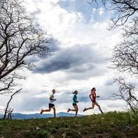 越野新手选鞋纠结？Altra探野3+ vs HOKA羚羊7深度对比