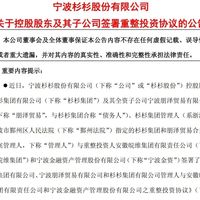 杉杉股份易主安徽国资,偏光片龙头迎国产化新局