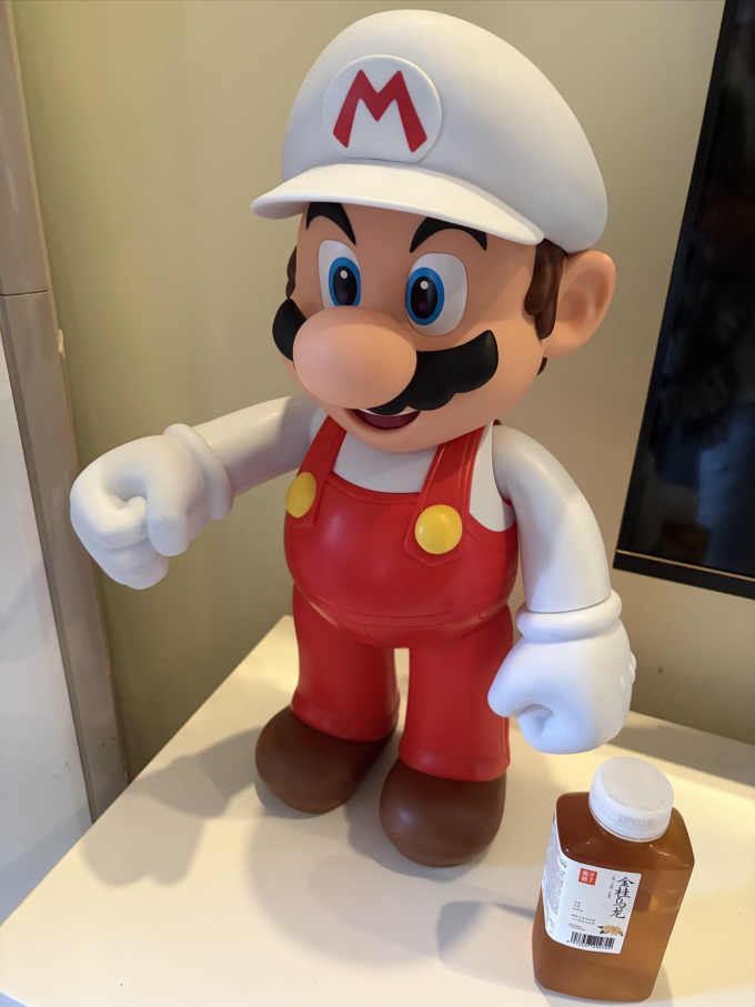 任天堂游戏周边