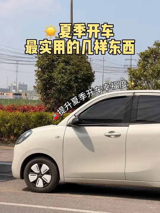 夏季开车最实用的几样东西，有一样的吗？#车载好物 #夏季必备 #开车必备 #经验分享 #遮阳挡
