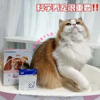 🐱别瞎折腾了！猫咪驱虫+护肠，一步到位就够