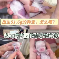 新生幼犬人工喂养工具评测与实操指南