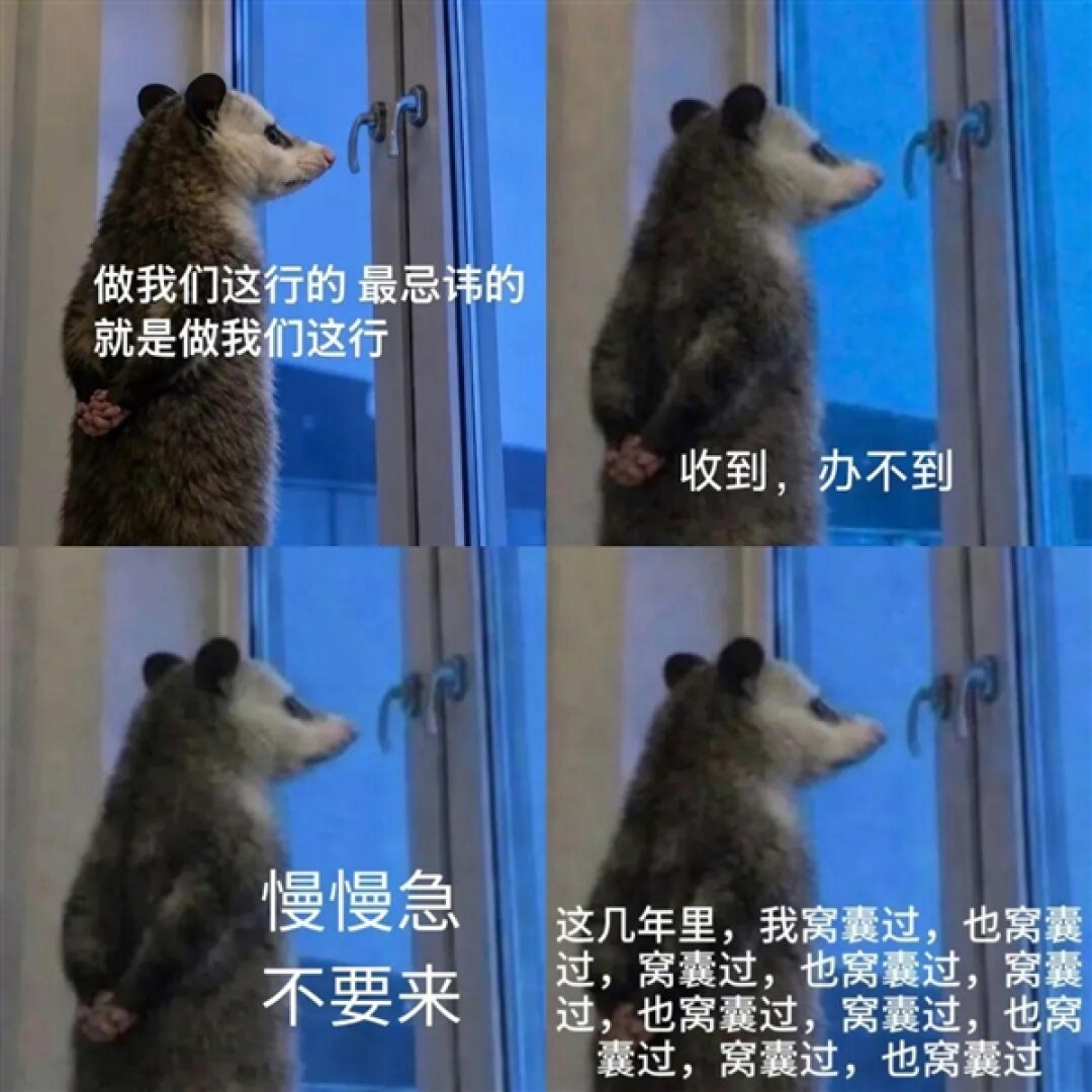 窗前背手的负鼠表情包火了!专家回应:它真不是老鼠