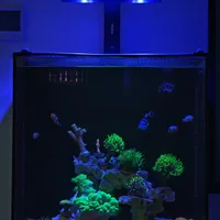 半年海缸踩坑经验指南-设备篇1
