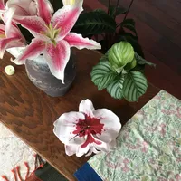 石塑蝴蝶兰钟表
