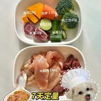 4个月比熊，7天自制狗饭❗️