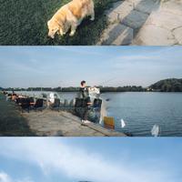 被很多人低估的宝藏镜头：索尼FE 28mm F2