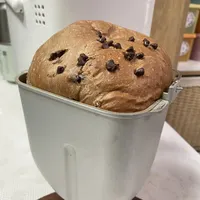 巧克力吐司（超级无敌软）