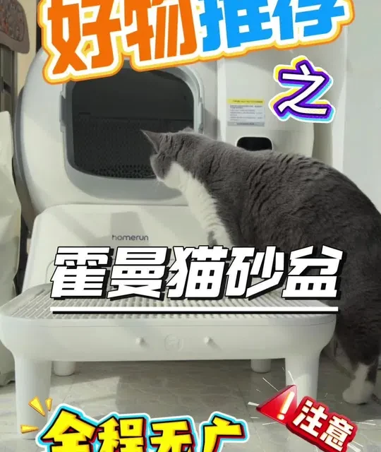 霍曼自动猫砂盆测评：多猫家庭与大体型猫咪适配性分析