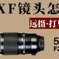 富士四款超长焦镜头盘点｜打鸟生态长焦精准选购指南