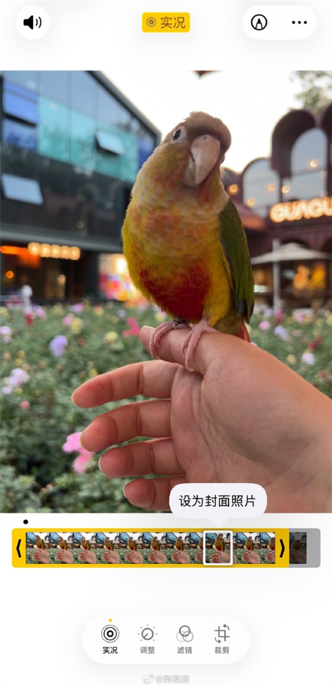 苹果实况图被指精准选丑!客服回应:实况定格是系统判断