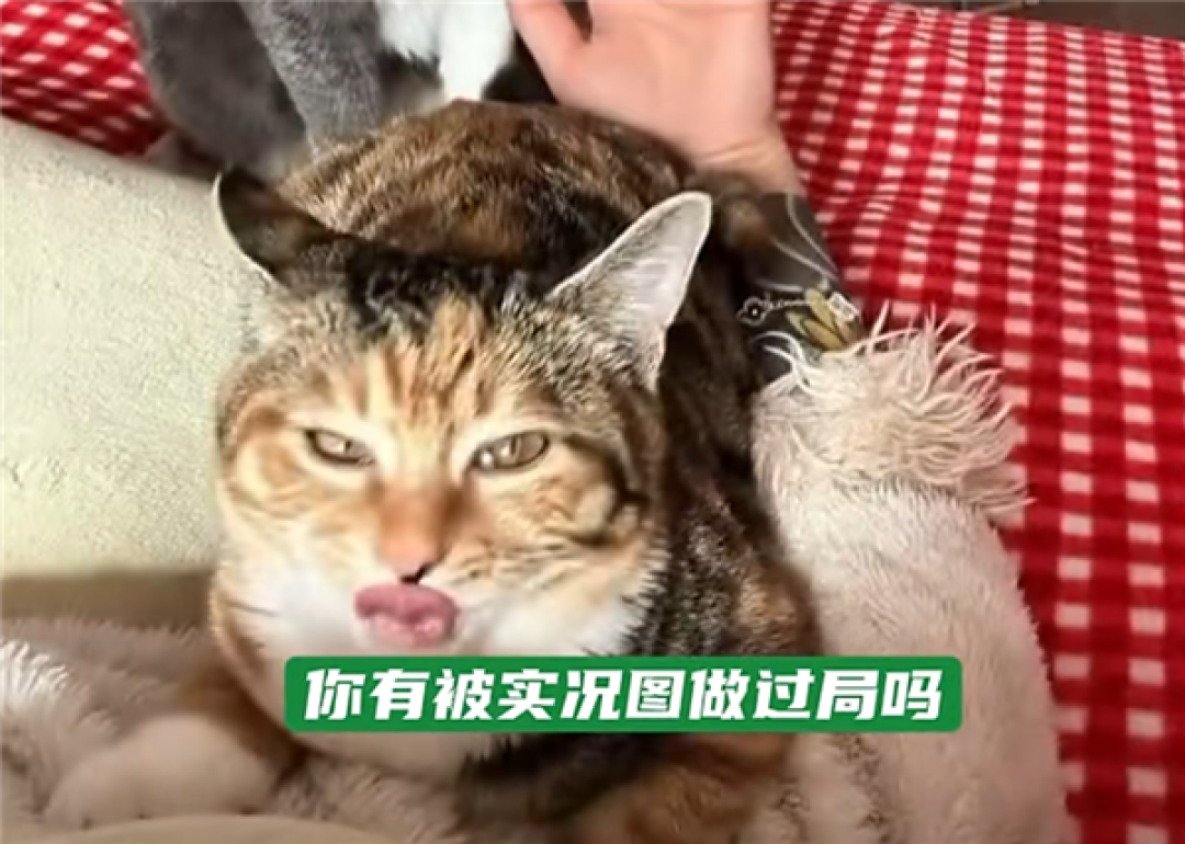 苹果实况图被指精准选丑!客服回应:实况定格是系统判断