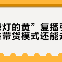 “红绿灯的黄”复播引争议：低俗带货模式还能走多远？