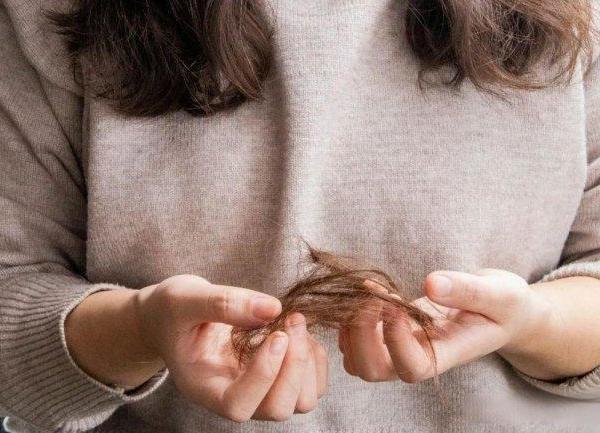 主打防断发防脱无硅洗发水哪些牌子好用？2026热门防脱固发洗发水深度推荐！