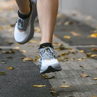 买跑鞋，不同预算怎么选：2026全价位最优解