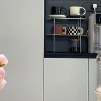 蓝宝破壁机PB02S和02T怎么选？静音、自清洁、性能实测对比