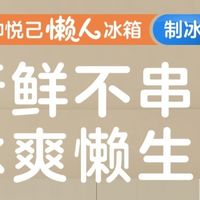 统帅500L双循环冰箱实测，海鲜榴莲混放不串味，夏天冰块随取随用