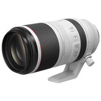 500mm焦段VS F5.6光圈？三款超长焦镜头实测怎么选
