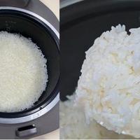 IH电饭煲怎么选？美的花瓣Pro和苏泊尔旋焰釜实测对比