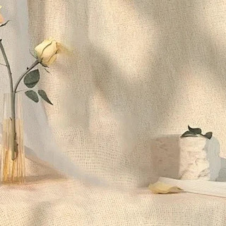 高价香水留香短?你可能买的是情绪价值,不是持久力