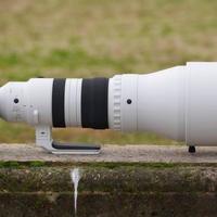 600mm打鸟镜头怎么选？三款热门超长焦深度横评，轻便、画质、追焦全解析