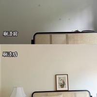抗甲醛漆真能除醛？实测揭秘：它只是墙面滤网，别被营销话术骗了