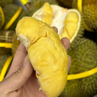 5–8月闭眼入金枕榴莲,肉厚核小价腰斩